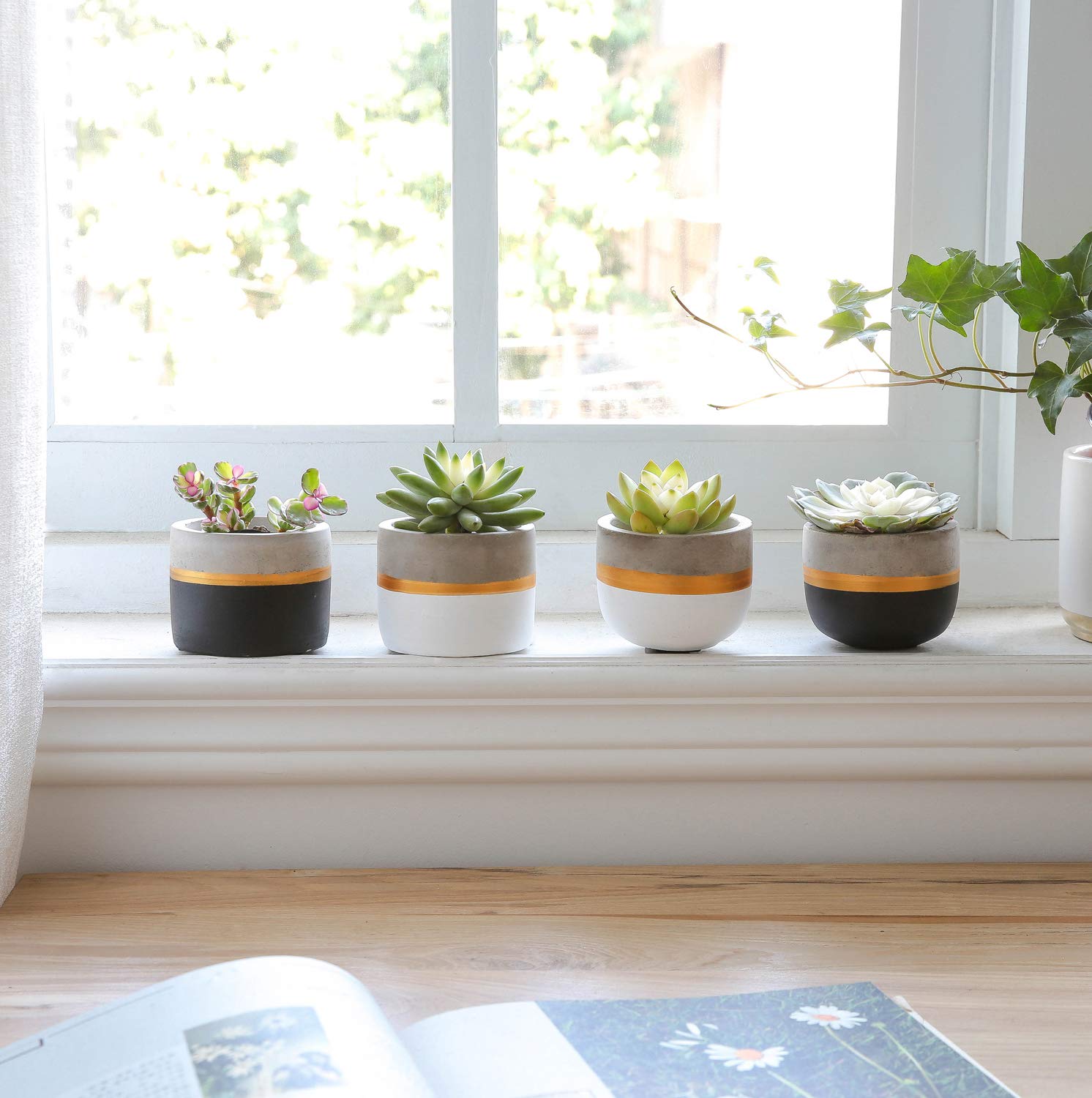 Amazon.com : Mkono 3 Inch Mini Succulent Pots Concrete Planter Set